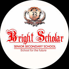 Bright Scholars School Company logo